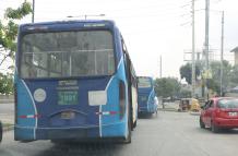 BUSES EN LA PERIMETRAL