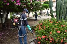 Fumigación parque
