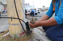 robo de cables+cnt