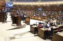 Dos grandes bancadas tendrá la nueva Asamblea Nacional, conformadas por ADN y el correísmo.