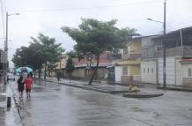 Guayacanes