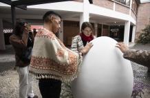 INSTALACION EDGAR DE (14195228)