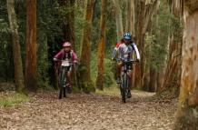 Parques Quito