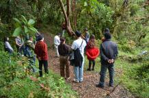 Permiso para ingresar al bosque de Imbabura