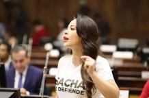 La Asamblea debatió el 13 de marzo sobre el campo Sacha que no se adjudicó.