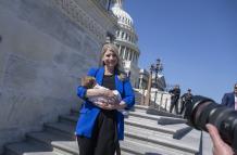 Mundo, Estados Unidos, shutdown