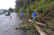 En la avenida Mariscal Sucre y La Gasca hubo un deslizamiento de tierra y se cayeron árboles.