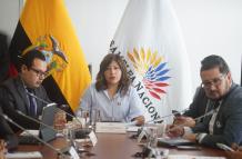 La presidenta de la Comisión de Seguridad, Inés Alarcón.