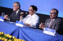 La prohibición fue resuelta por el Pleno del CNE.