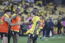 BARCELONA -DELFIN (14371175)