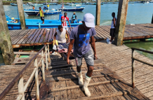 Pescadores de Esmeraldas enfrentan una crisis tras el derrame de crudo, con embarcaciones regresando con cantidades mínimas de pescado y una creciente preocupación por la seguridad en el mar.