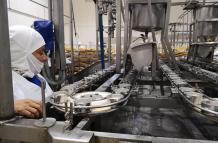 manufactura