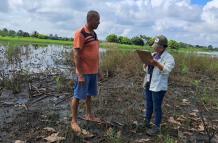 Agricultura