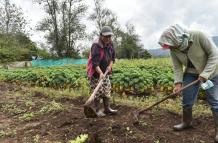 Agricultura