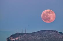 Luna rosa referencial