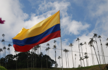 Autoridades colombianas exigen carné de vacunación contra la fiebre amarilla a viajeros por riesgo de contagio.