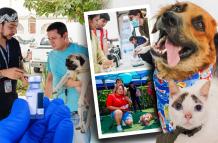 Adopción mascotas Guayaquil