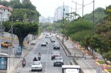 avenida bsc