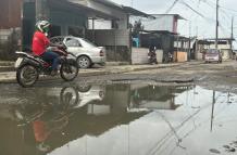 BACHE 1