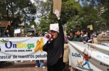 protesta por la ley LODA