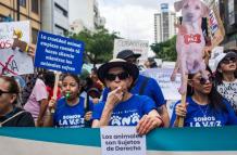 Fundación Rescate Animal