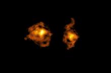 galaxias