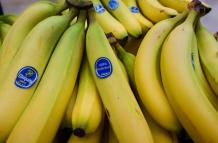 CHIQUITA BRANDS