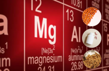 Magnesio