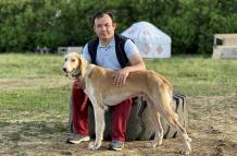 Kazajistán está tratando de recuperar la población de la raza de perro nacional, los tazis