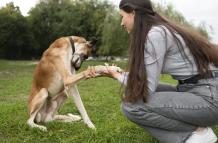 vista-lateral-mujer-entrenando-perro-al-aire-libre