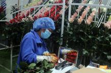 Una mujer trabaja en una planta florícola de Ecuador.