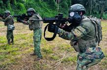 Fuerzas Armadas