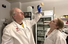 Las moscas revelan la biología de la adicción a la cocaína, llave para impulsar terapias.