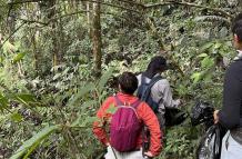 Investigación en la Amazonía