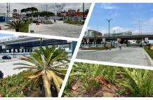 Avenida Isidro Ayora