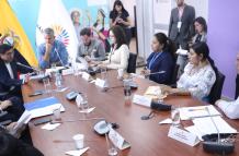 La Comisión de la Niñez criticó que las reformas de los adolescentes infractores se trate en el proyecto de Ley de contratación.