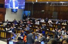 Pleno de la Asamblea código de la Democracia.