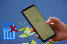 Borrar archivos de WhatsApp