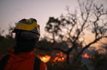 Un bombero trabaja para extinguir un incendio forestal
