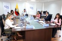 PLENO CPCCS 25 JUNIO 2025