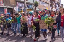 YUMAYANTA DOCUMENTAL