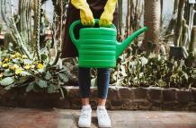 Cuál es la mejor hora para regar tus plantas según la ciencia