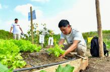 UG Agricultura