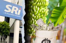 Imagen relacionada a exportadora bananera Noboa