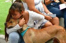 Adopción de animales