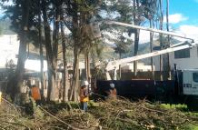 Trabajadores municipales han intensificado la poda de árboles, en medio de la alerta por fuertes vientos en Quito.