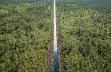 indonesia