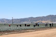 Bakersfield