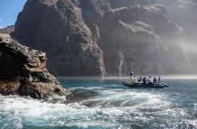 galapagos
