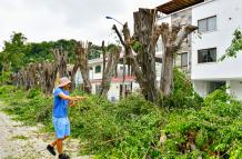 GUAYAQUIL ARBOLES